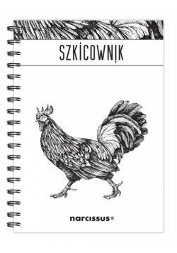 Szkicownik B5 na spirali gładki Kogut