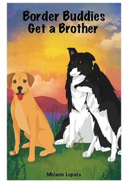 Border Buddies Get a Brother