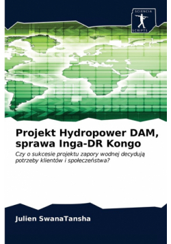 Projekt Hydropower DAM, sprawa Inga-DR Kongo