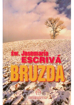 Bruzda Miniatura
