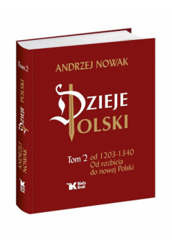 Dzieje Polski. Tom 2. Od rozbicia do nowej Polski