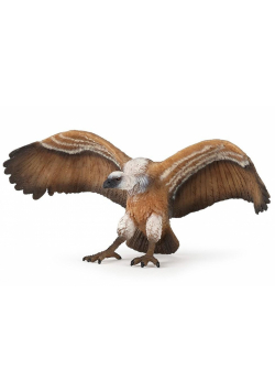 Sęp płowy