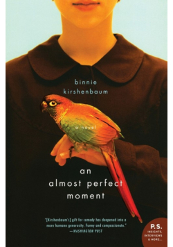 Almost Perfect Moment, An