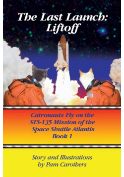 The Last Launch