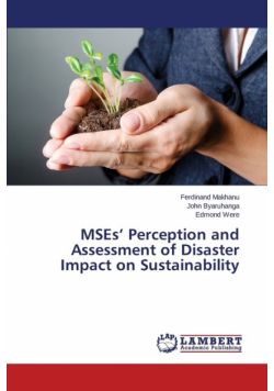 MSEs' Perception and Assessment of Disaster Impact on Sustainability