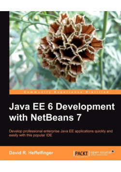 Java Ee 6 Development with Netbeans 7