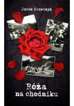Róża na chodniku