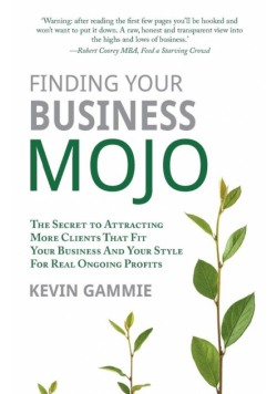 Finding Your Business Mojo