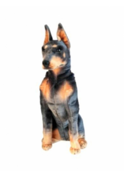 Doberman 66cm