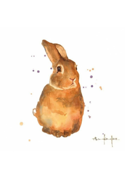 Karnet kwadrat mały z kopertą Benji Bunny