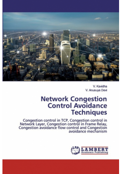 Network Congestion Control Avoidance Techniques
