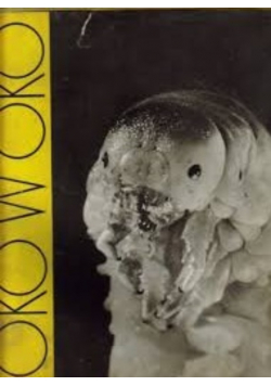 Oko w oko