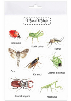Naklejki duże Owady 1