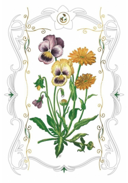 Karnet 12x18cm + koperta Bratki