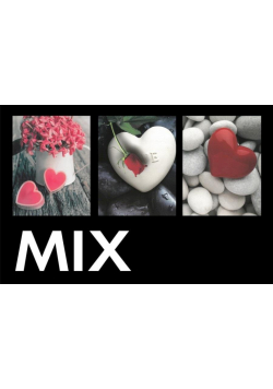 Fotoalbum kieszeniowy zgrzewany Heart MIX