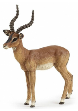 Impala