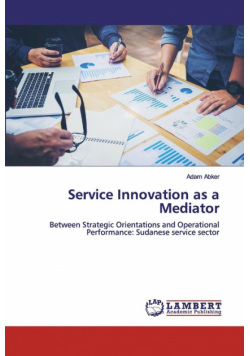 Service Innovation as a Mediator
