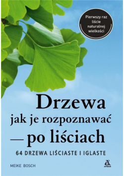 Drzewa - jak je rozpoznawać