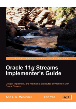 Oracle 11g Streams Implementer's Guide