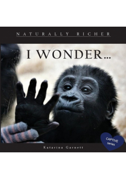 I Wonder