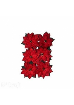 Gwiazda betlejemska 5cm 6szt