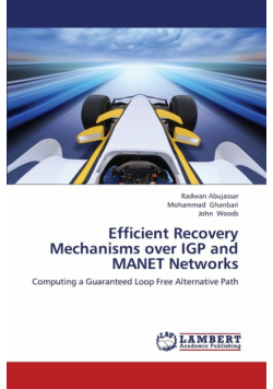 Efficient Recovery Mechanisms Over Igp and Manet Networks