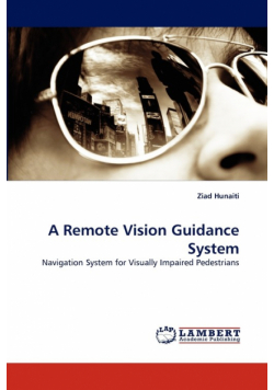 A Remote Vision Guidance System