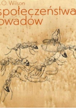 Społeczeństwa owadów
