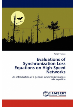 Evaluations of Synchronization Loss Equations on High-Speed Networks