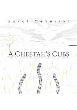 A Cheetah's Cubs