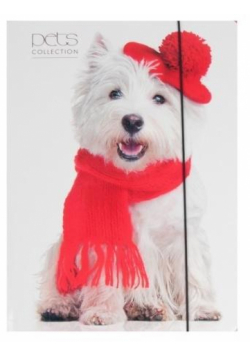 Teczka A4 z gumką Pets-14