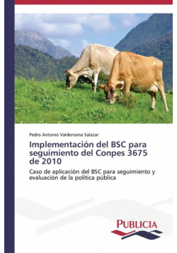 Implementación del BSC para seguimiento del Conpes 3675 de 2010
