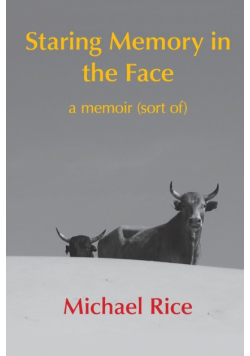 Staring Memory in the Face