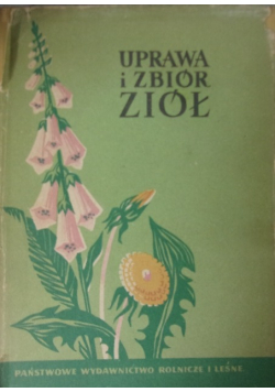 Uprawa i zbiór ziół