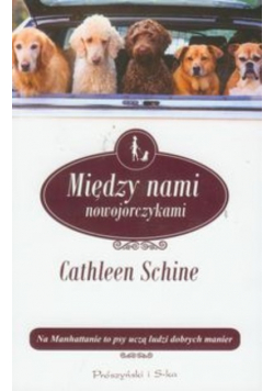 Między nami nowojorczykami