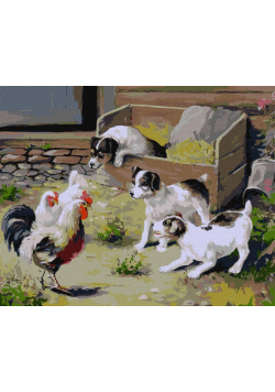 Malowanie po numerach - Spotkanie 40x40cm