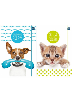 Teczka z gumką A4+ LUX UV Puppy Sign (10szt)