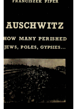 Auschwitz How Many Perished Jews Poles Gypsies