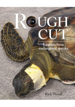 Rough Cut