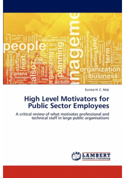High Level Motivators for Public Sector Employees