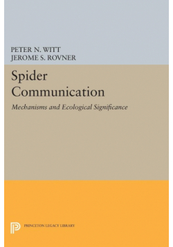 Spider Communication