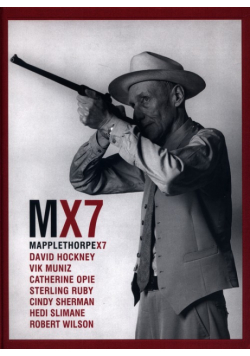 Mapplethorpe x 7