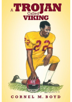 A Trojan Called Viking