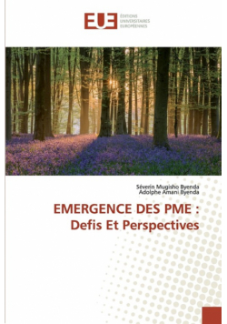 Emergence Des Pme