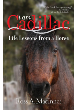 I am Cadillac