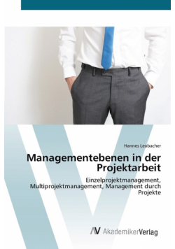 Managementebenen  in der Projektarbeit