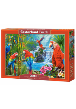 Puzzle 2000 Parrot Meeting