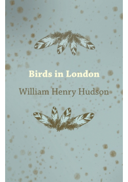 Birds in London