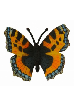 Motyl rusałka pokrzywnik M