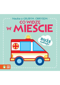 Nauka z grubym obrysem Co widzę w mieście